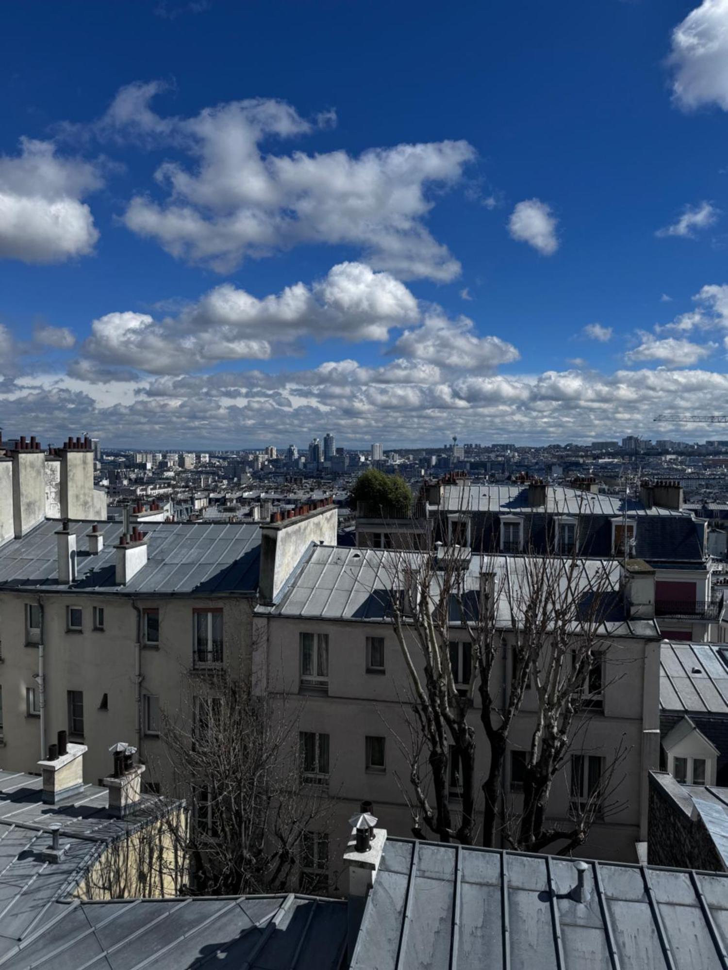 Spacieux Appartement A 50M Du Sacre Coeur - Magnifique Vue Paris Ngoại thất bức ảnh